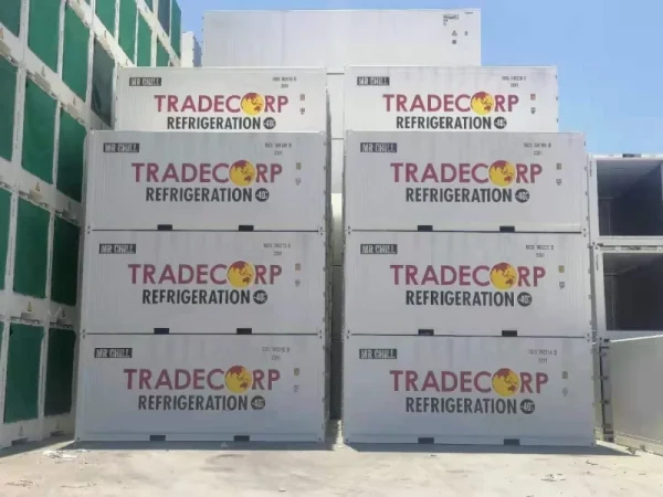 20′ Kühlcontainer – Thermo King Magnum+ – Bild 6